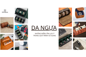 Những điểm cần lưu ý với hộp đựng đồng hồ bằng chất liệu da ngựa